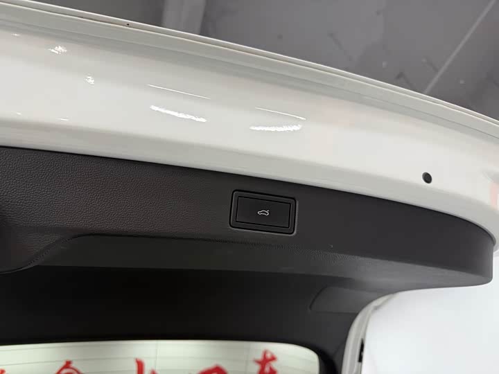 Volkswagen Tayron X 2023 2023款 380TSI 四驱旗舰智慧版