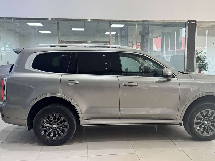 Tank 500 2023 2023款 3.0T 运动版 登峰型 7座