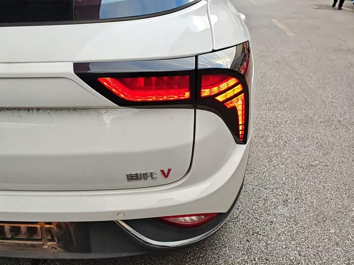 Hozon V 2022 2022款 潮 400 Lite