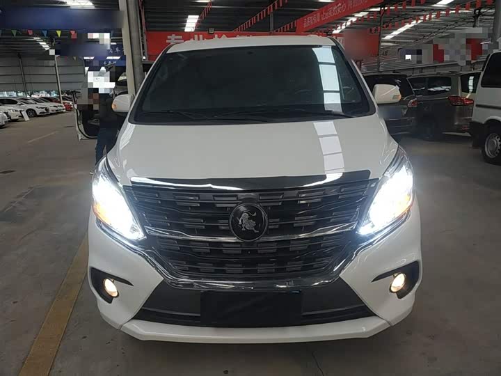Dongfeng Forthing Lingzhi Plus 2024 2024款 1.5T 手动豪华型 7座
