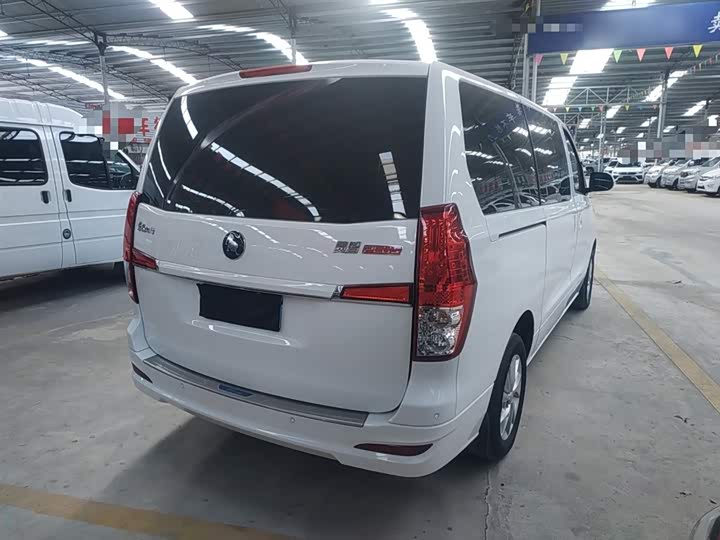 Dongfeng Forthing Lingzhi Plus 2024 2024款 1.5T 手动豪华型 7座