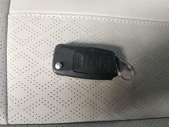 Dongfeng Forthing Lingzhi Plus 2024 2024款 1.5T 手动豪华型 7座