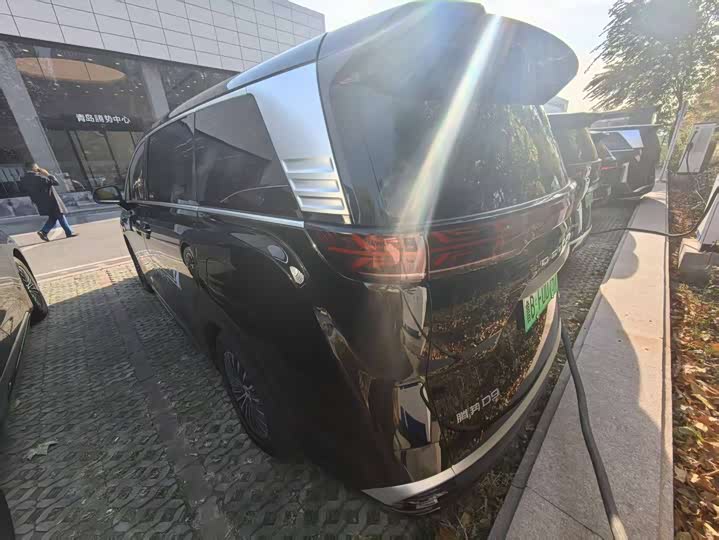 Denza D9 2025 2025款 DM-i 智驾版 1020 四驱旗舰型