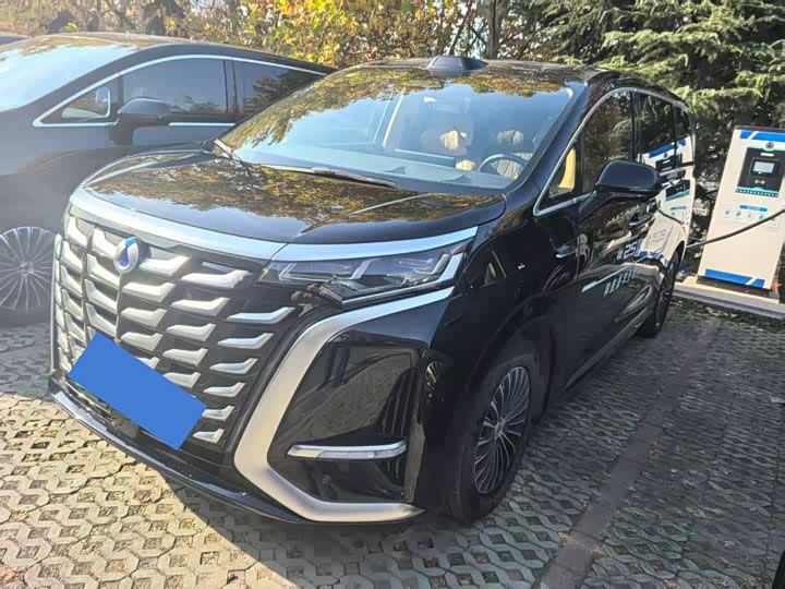 Denza D9 2025 2025款 DM-i 智驾版 1020 四驱旗舰型