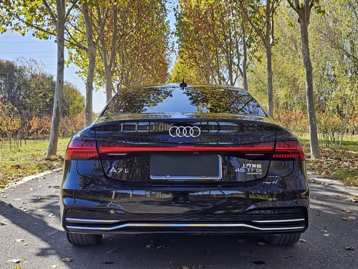 Audi A7L 2024 2024款 45TFSI S-line 筑梦型 流晶套装