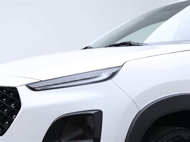 Chery Tiggo 3x 2024 2024款 1.5L CVT卓越版