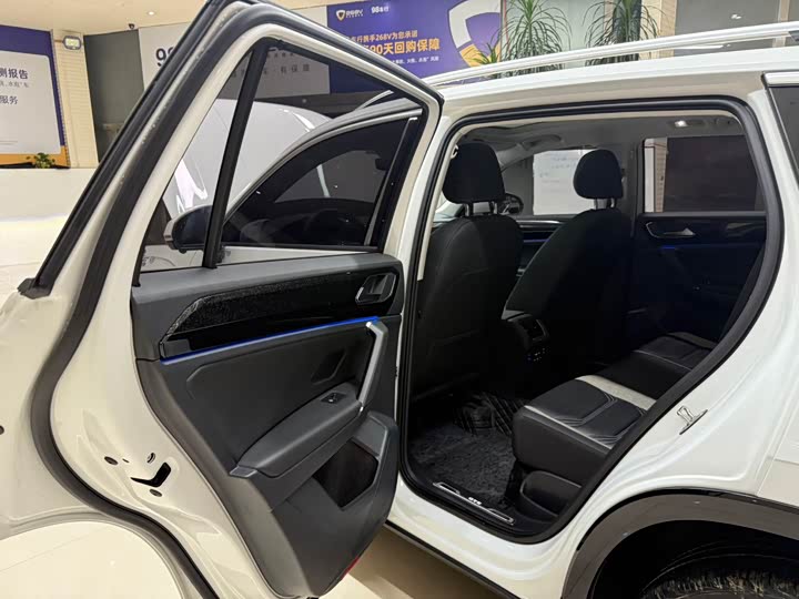 Volkswagen Tayron GTE Hybrid 2022 2022款 1.4T 豪华型