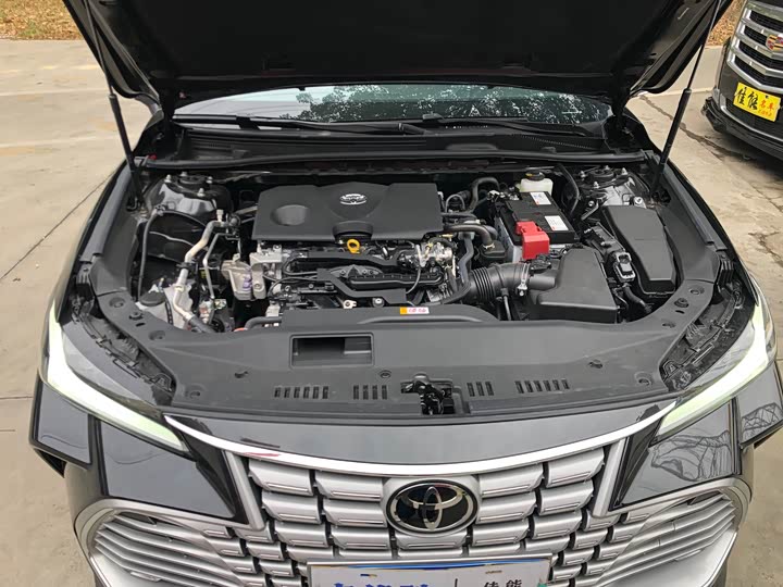 Toyota Avalon 2024 2024款 2.0L 进取版