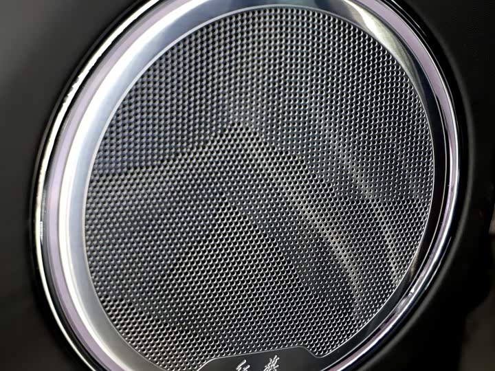 Hongqi LS7 (Guoyao) 2022 2022款 4.0T 典雅旗航版 6座