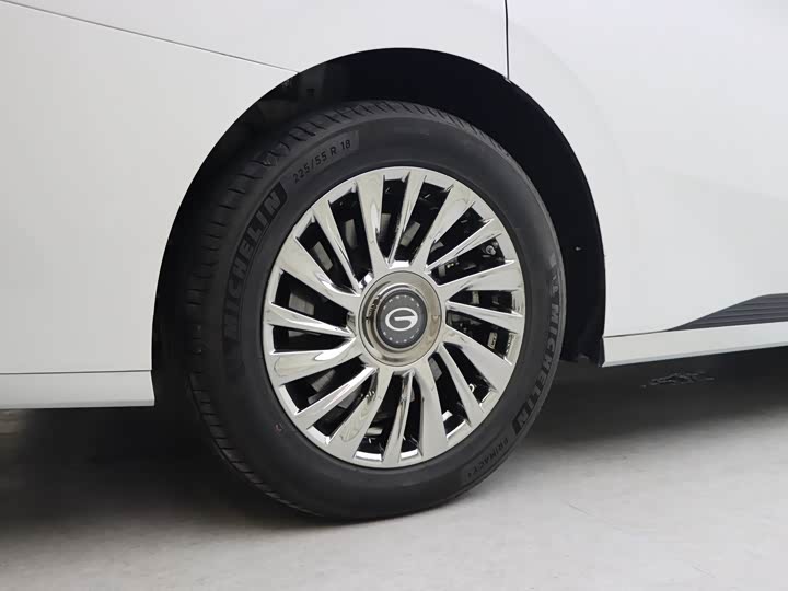 GAC Trumpchi M8 2024 2024款 宗师系列 400T 至尊版