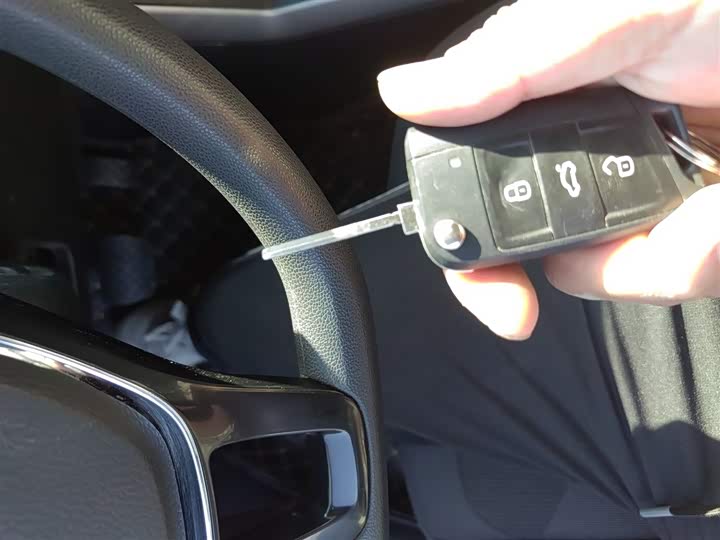 Volkswagen Polo 2023 2023款 改款 Plus 1.5L 自动纵情乐活版