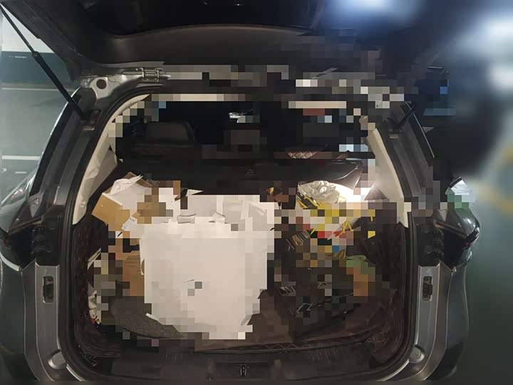 Beijing X7 2020 2020款 1.5TD DCT致尚版