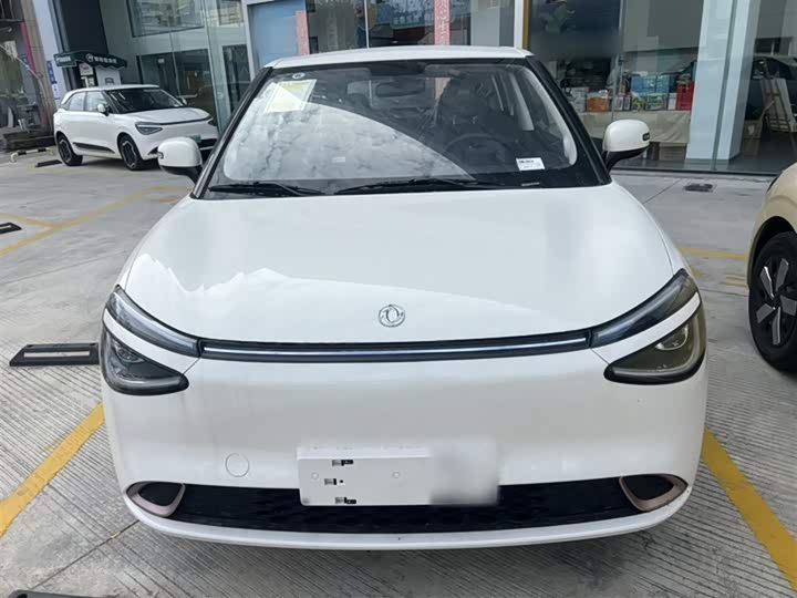 Dongfeng Nammi 01 2024 2024款 焕新版 330 Air