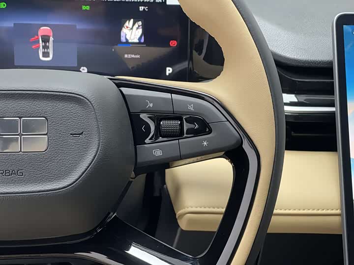 Geely Galaxy L6 2023 2023款 125km MAX