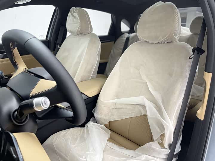 Geely Galaxy L6 2023 2023款 125km MAX