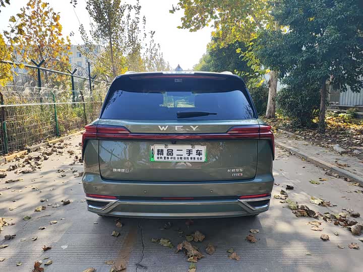 Wey Lanshan 2025 2025款 四驱智驾 Ultra