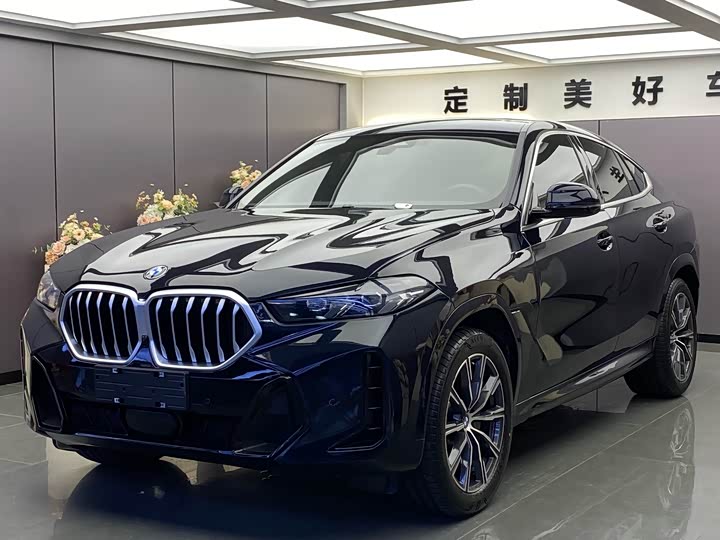BMW X6 2023 2023款 xDrive30i M运动套装