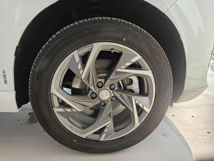 Hongqi HS3 Hybrid 2024 2024款 115km 劲为版