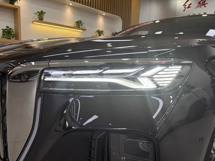 Hongqi H9 2024 2024款 2.0T 旗畅 私享风尚版