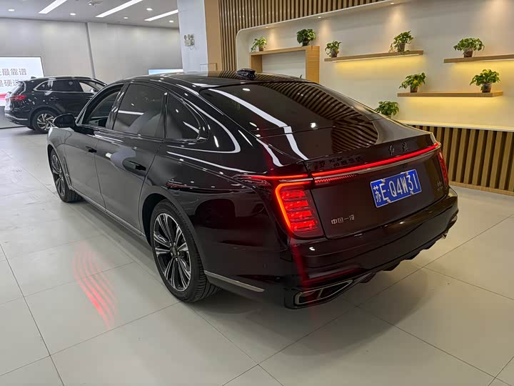 Hongqi H9 2024 2024款 2.0T 旗畅 私享风尚版