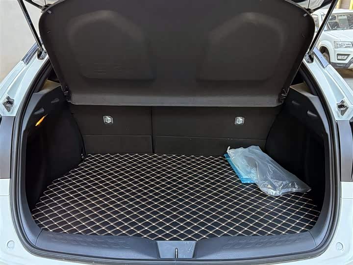 Toyota Izoa 2022 2022款 2.0L 奕行版