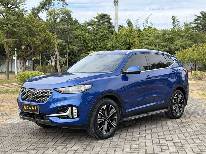 Wey VV6 2021 2021款 2.0T 两驱智护+