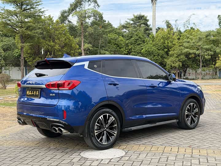 Wey VV6 2021 2021款 2.0T 两驱智护+