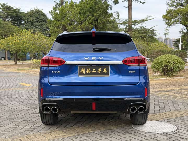 Wey VV6 2021 2021款 2.0T 两驱智护+
