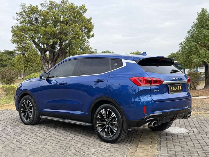 Wey VV6 2021 2021款 2.0T 两驱智护+