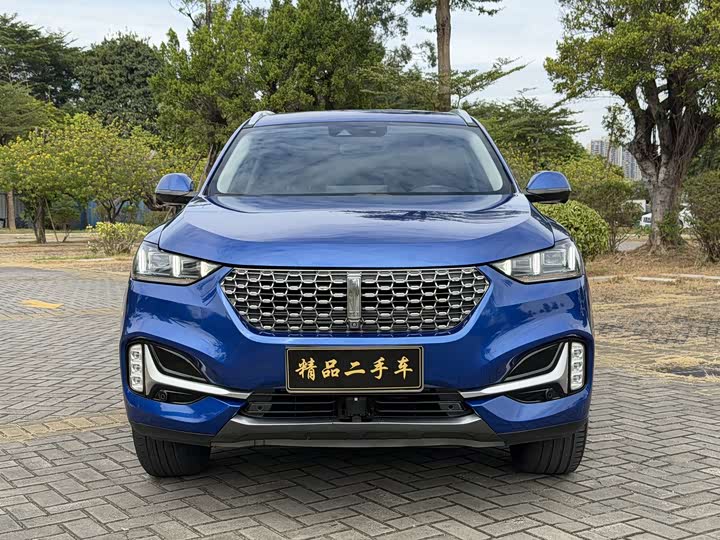 Wey VV6 2021 2021款 2.0T 两驱智护+