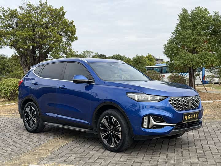 Wey VV6 2021 2021款 2.0T 两驱智护+