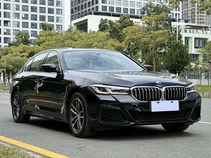 2022 BMW 5 Series Hybrid