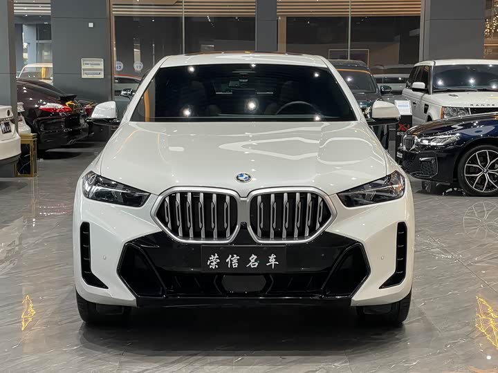BMW X6 2023 2023款 xDrive30i M运动套装