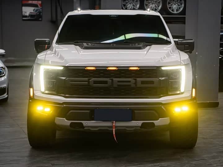 Ford F-150 Raptor 2023 2023款 3.5T 猛禽傲雪冰晖特别版
