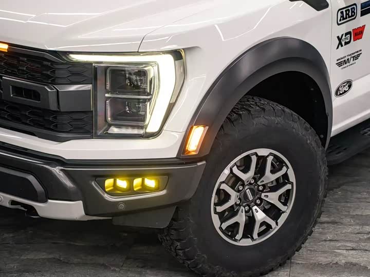 Ford F-150 Raptor 2023 2023款 3.5T 猛禽傲雪冰晖特别版