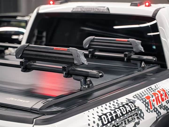 Ford F-150 Raptor 2023 2023款 3.5T 猛禽傲雪冰晖特别版