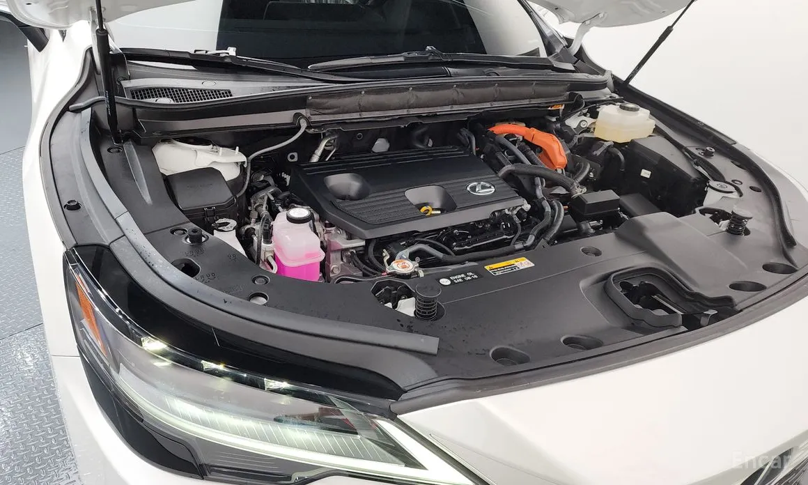 Lexus RX 2023 Luxury