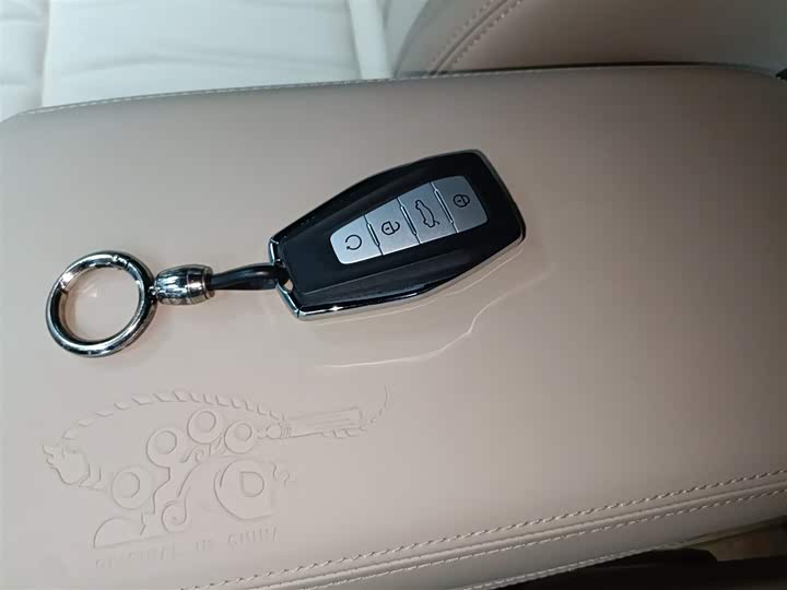 Geely Monjaro 2025 2025款 东方曜 2.0TD 自动今朝版