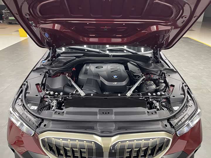 BMW 5 Series 2024 2024款 530Li 尊享型 M运动套装