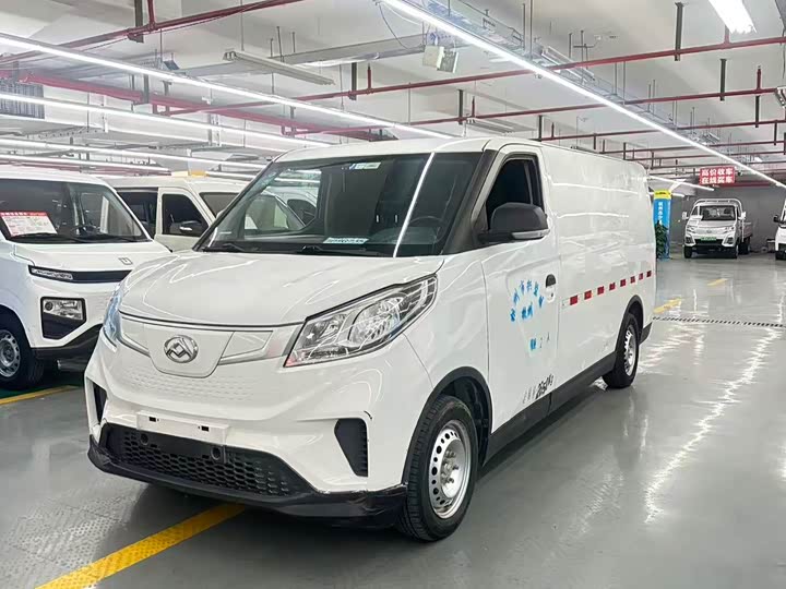 2021 Maxus EV30
