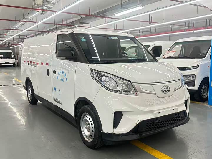 2021 Maxus EV30