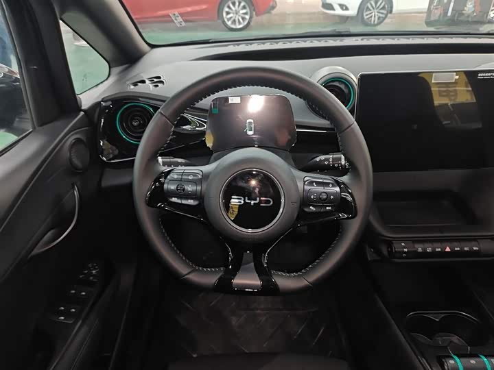 BYD Dolphin 2025 2025款 420km 自由版