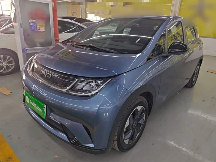 BYD Dolphin 2025 2025款 420km 自由版