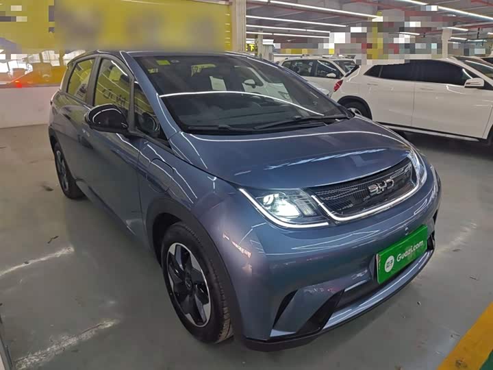 BYD Dolphin 2025 2025款 420km 自由版