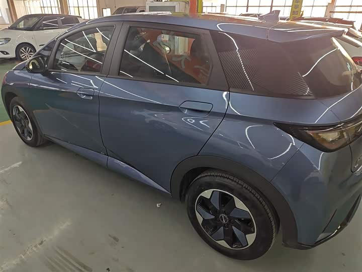 BYD Dolphin 2025 2025款 420km 自由版