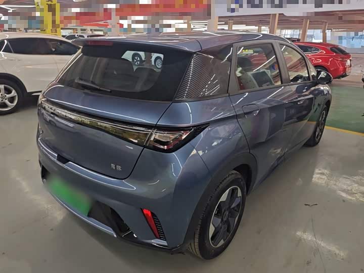 BYD Dolphin 2025 2025款 420km 自由版