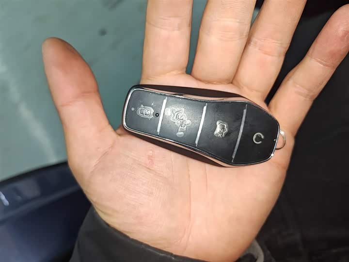 BYD Dolphin 2025 2025款 420km 自由版