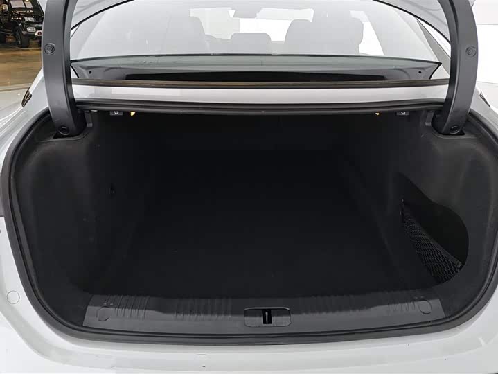 Hongqi EH7 2024 2024款 690 Pro