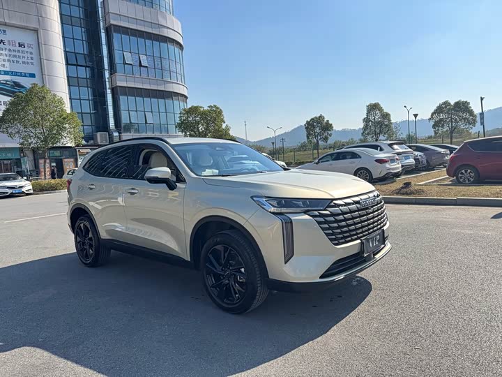 Haval H6 2024 2024款 1.5T 两驱Ultra