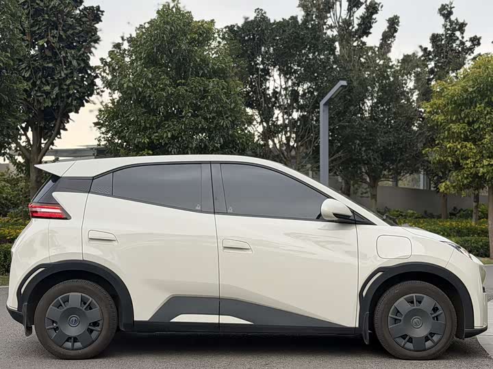 BYD Seagull 2025 2025款 305km 活力版